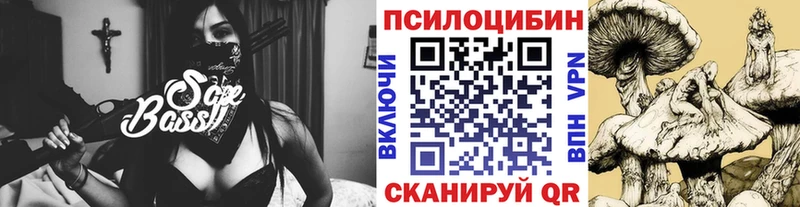 omg ТОР  где можно купить наркотик  Выборг  Псилоцибиновые грибы мухоморы 